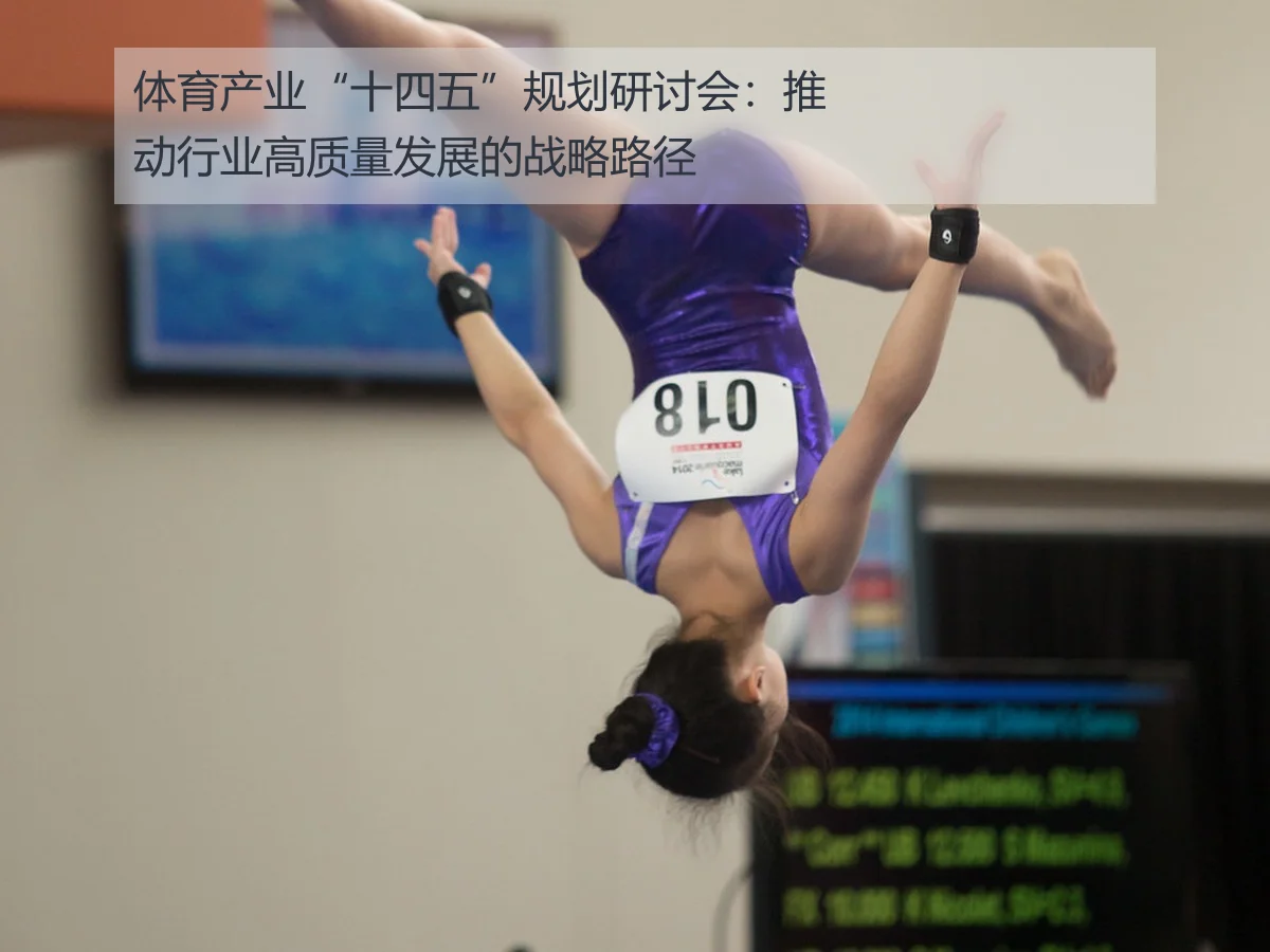 体育产业“十四五”规划研讨会:推动行业高质量发展的战略路径